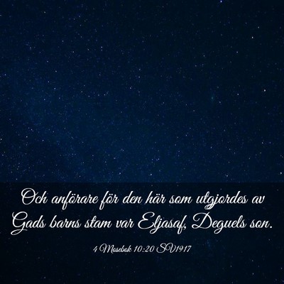 Picture 03 - 4 Mosebok 10:20 SV1917 - Och anförare för den här som utgjordes av Gads - Bible Verse Picture