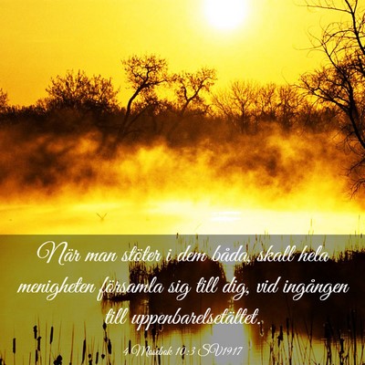 Picture 03 - 4 Mosebok 10:3 SV1917 - När man stöter i dem båda, skall hela - Bible Verse Picture