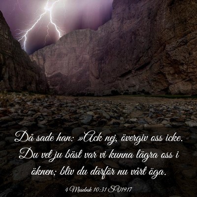 Picture 03 - 4 Mosebok 10:31 SV1917 - Då sade han: »Ack nej, övergiv oss icke. Du - Bible Verse Picture