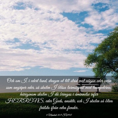 Picture 03 - 4 Mosebok 10:9 SV1917 - Och om I, i edert land, dragen ut till strid mot - Bible Verse Picture