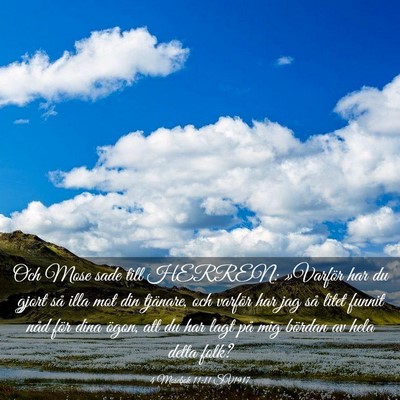 Picture 03 - 4 Mosebok 11:11 SV1917 - Och Mose sade till HERREN: »Varför har du gjort - Bible Verse Picture