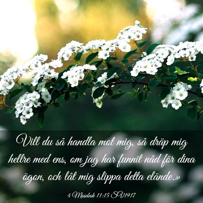 Picture 03 - 4 Mosebok 11:15 SV1917 - Vill du så handla mot mig, så dräp mig hellre - Bible Verse Picture