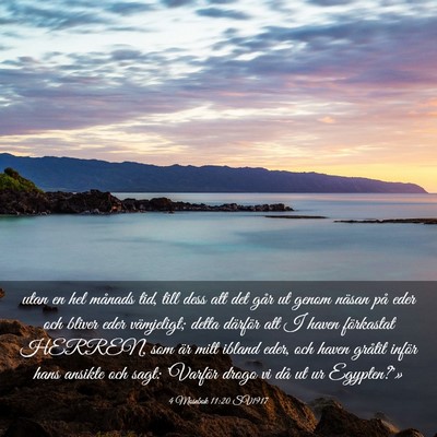 Picture 03 - 4 Mosebok 11:20 SV1917 - utan en hel månads tid, till dess att det går - Bible Verse Picture