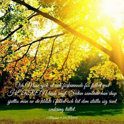 Picture 03 - 4 Mosebok 11:24 SV1917 - Och Mose gick ut och förkunnade för folket vad - Bible Verse Picture