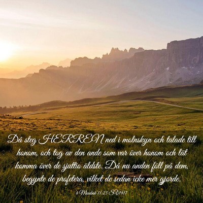 Picture 03 - 4 Mosebok 11:25 SV1917 - Då steg HERREN ned i molnskyn och talade till - Bible Verse Picture