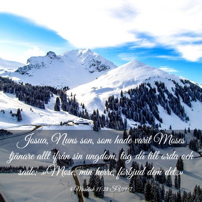 Picture 03 - 4 Mosebok 11:28 SV1917 - Josua, Nuns son, som hade varit Moses tjänare - Bible Verse Picture