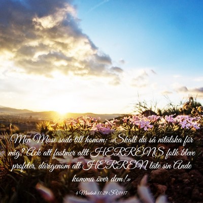 Picture 03 - 4 Mosebok 11:29 SV1917 - Men Mose sade till honom: »Skall du så - Bible Verse Picture