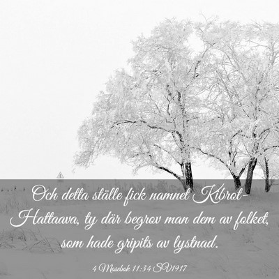 Picture 03 - 4 Mosebok 11:34 SV1917 - Och detta ställe fick namnet Kibrot-Hattaava, ty - Bible Verse Picture