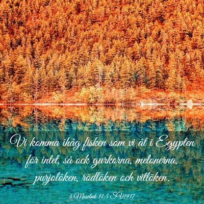 Picture 03 - 4 Mosebok 11:5 SV1917 - Vi komma ihåg fisken som vi åt i Egypten för - Bible Verse Picture