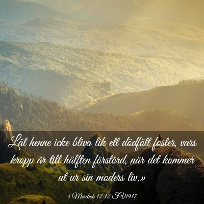 Picture 03 - 4 Mosebok 12:12 SV1917 - Låt henne icke bliva lik ett dödfött foster, - Bible Verse Picture