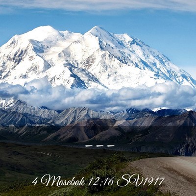 Picture 03 - 4 Mosebok 12:16 SV1917 -  - Bible Verse Picture