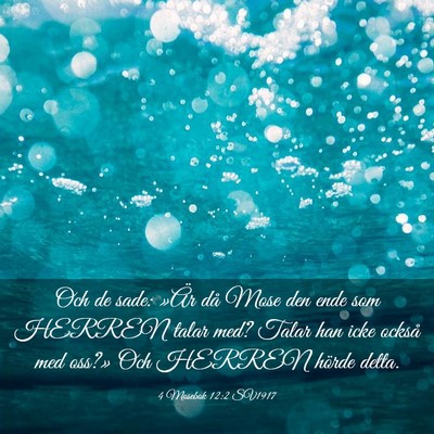 Picture 03 - 4 Mosebok 12:2 SV1917 - Och de sade: »Är då Mose den ende som HERREN - Bible Verse Picture