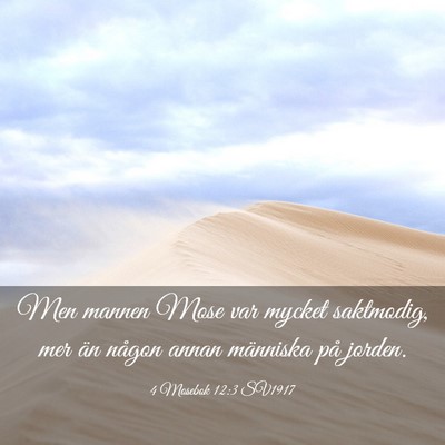 Picture 03 - 4 Mosebok 12:3 SV1917 - Men mannen Mose var mycket saktmodig, mer än - Bible Verse Picture