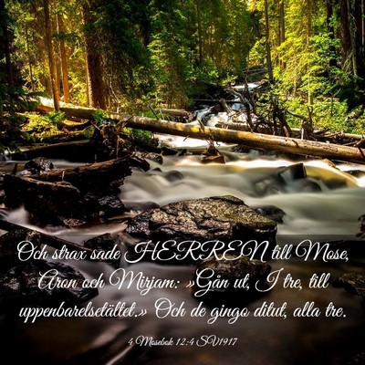 Picture 03 - 4 Mosebok 12:4 SV1917 - Och strax sade HERREN till Mose, Aron och Mirjam: - Bible Verse Picture