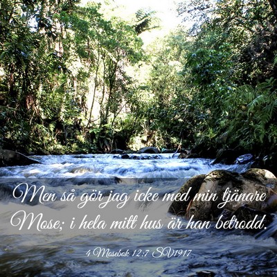 Picture 03 - 4 Mosebok 12:7 SV1917 - Men så gör jag icke med min tjänare Mose; i - Bible Verse Picture