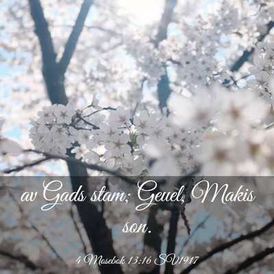 Picture 03 - 4 Mosebok 13:16 SV1917 - av Gads stam; Geuel, Makis - Bible Verse Picture