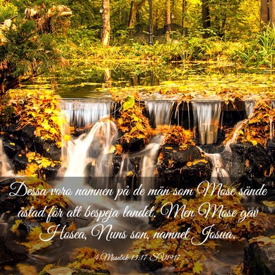 Picture 03 - 4 Mosebok 13:17 SV1917 - Dessa voro namnen på de män som Mose sände - Bible Verse Picture