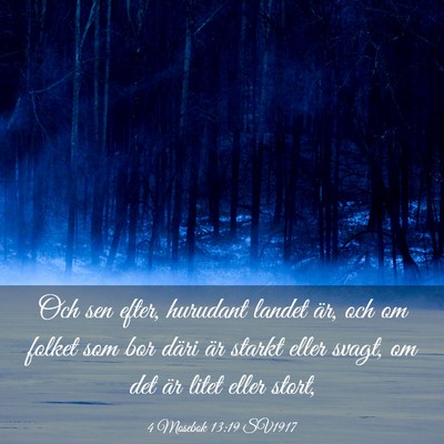 Picture 03 - 4 Mosebok 13:19 SV1917 - Och sen efter, hurudant landet är, och om folket - Bible Verse Picture
