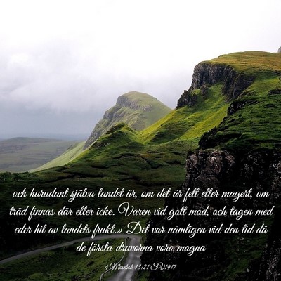 Picture 03 - 4 Mosebok 13:21 SV1917 - och hurudant själva landet är, om det är fett - Bible Verse Picture