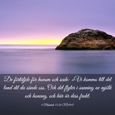 Picture 03 - 4 Mosebok 13:28 SV1917 - De förtäljde för honom och sade: »Vi kommo - Bible Verse Picture