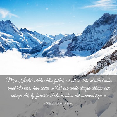 Picture 03 - 4 Mosebok 13:31 SV1917 - Men Kaleb sökte stilla folket, så att de icke - Bible Verse Picture