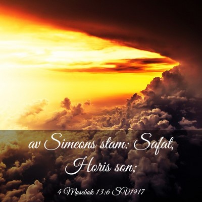 Picture 03 - 4 Mosebok 13:6 SV1917 - av Simeons stam: Safat, Horis - Bible Verse Picture