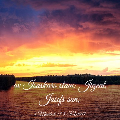 Picture 03 - 4 Mosebok 13:8 SV1917 - av Isaskars stam: Jigeal, Josefs - Bible Verse Picture