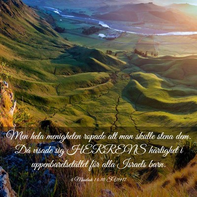 Picture 03 - 4 Mosebok 14:10 SV1917 - Men hela menigheten ropade att man skulle stena - Bible Verse Picture