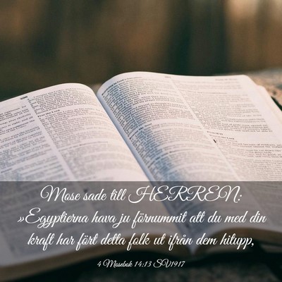 Picture 03 - 4 Mosebok 14:13 SV1917 - Mose sade till HERREN: »Egyptierna hava ju - Bible Verse Picture
