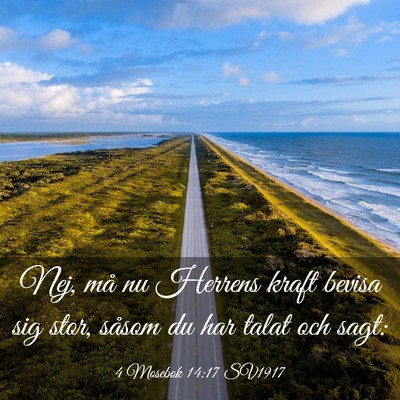 Picture 03 - 4 Mosebok 14:17 SV1917 - Nej, må nu Herrens kraft bevisa sig stor, såsom - Bible Verse Picture