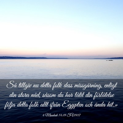 Picture 03 - 4 Mosebok 14:19 SV1917 - Så tillgiv nu detta folk dess missgärning, - Bible Verse Picture