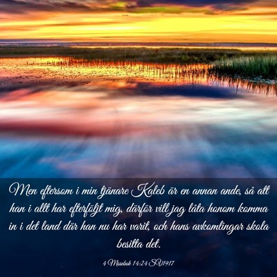 Picture 03 - 4 Mosebok 14:24 SV1917 - Men eftersom i min tjänare Kaleb är en annan - Bible Verse Picture