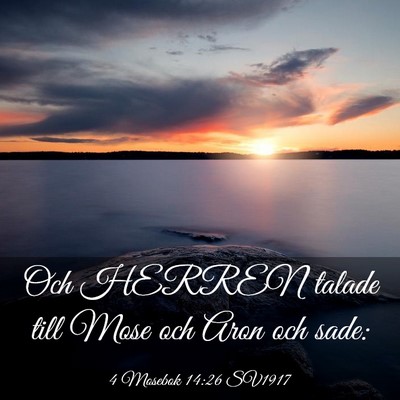 Picture 03 - 4 Mosebok 14:26 SV1917 - Och HERREN talade till Mose och Aron och - Bible Verse Picture
