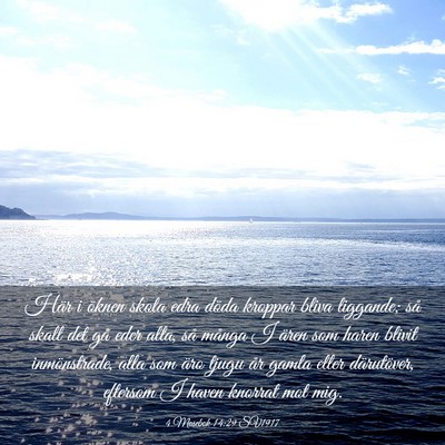 Picture 03 - 4 Mosebok 14:29 SV1917 - Här i öknen skola edra döda kroppar bliva - Bible Verse Picture
