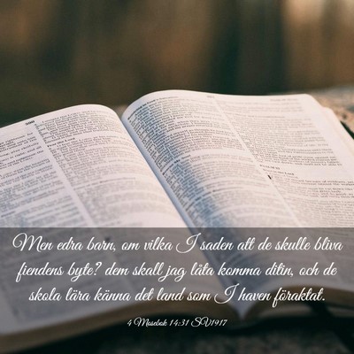 Picture 03 - 4 Mosebok 14:31 SV1917 - Men edra barn, om vilka I saden att de skulle - Bible Verse Picture