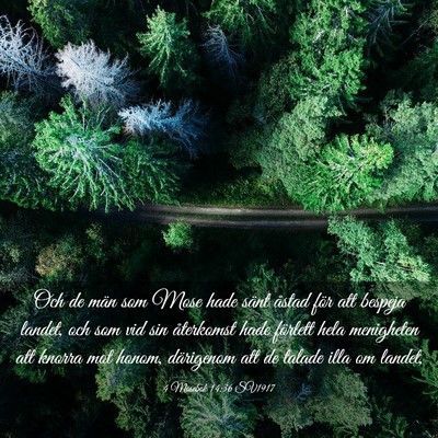 Picture 03 - 4 Mosebok 14:36 SV1917 - Och de män som Mose hade sänt åstad för att - Bible Verse Picture