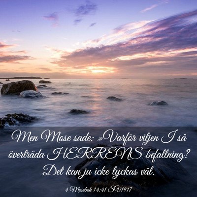Picture 03 - 4 Mosebok 14:41 SV1917 - Men Mose sade: »Varför viljen I så överträda - Bible Verse Picture