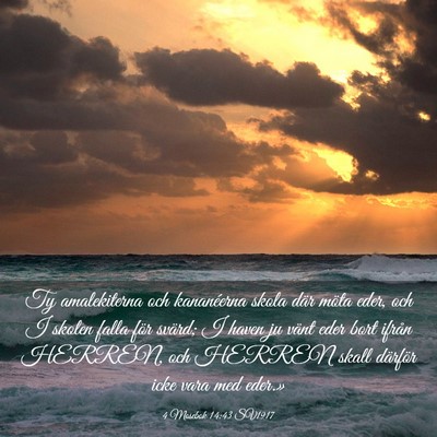 Picture 03 - 4 Mosebok 14:43 SV1917 - Ty amalekiterna och kananéerna skola där möta - Bible Verse Picture