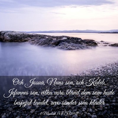 Picture 03 - 4 Mosebok 14:6 SV1917 - Och Josua, Nuns son, och Kaleb, Jefunnes son, - Bible Verse Picture