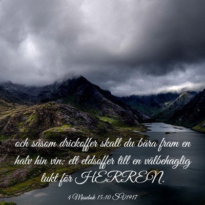 Picture 03 - 4 Mosebok 15:10 SV1917 - och såsom drickoffer skall du bära fram en halv - Bible Verse Picture