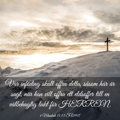 Picture 03 - 4 Mosebok 15:13 SV1917 - Var inföding skall offra detta, såsom här är - Bible Verse Picture