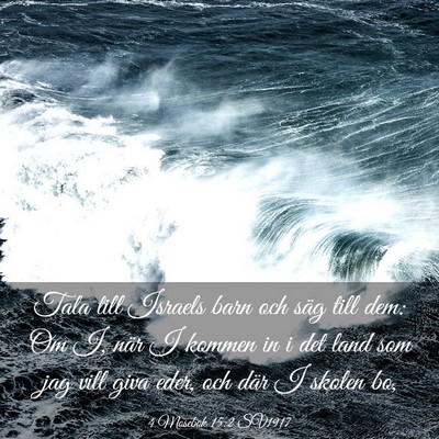 Picture 03 - 4 Mosebok 15:2 SV1917 - Tala till Israels barn och säg till dem: Om I, - Bible Verse Picture