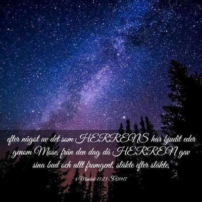 Picture 03 - 4 Mosebok 15:23 SV1917 - efter något av det som HERRENS har bjudit eder - Bible Verse Picture