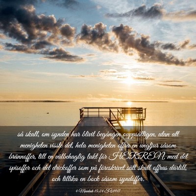 Picture 03 - 4 Mosebok 15:24 SV1917 - så skall, om synden har blivit begången - Bible Verse Picture