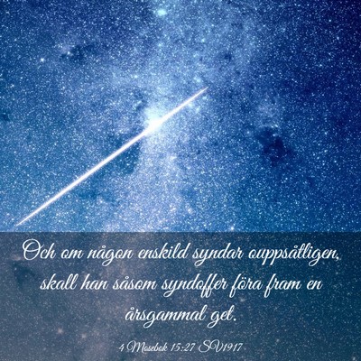 Picture 03 - 4 Mosebok 15:27 SV1917 - Och om någon enskild syndar ouppsåtligen, skall - Bible Verse Picture