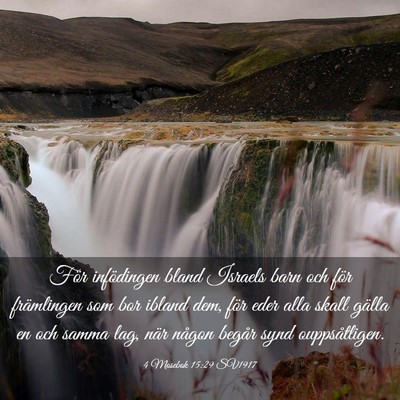 Picture 03 - 4 Mosebok 15:29 SV1917 - För infödingen bland Israels barn och för - Bible Verse Picture