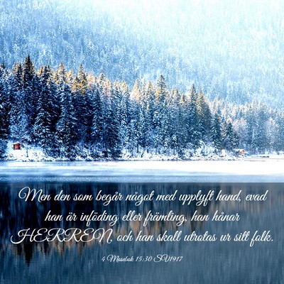 Picture 03 - 4 Mosebok 15:30 SV1917 - Men den som begår något med upplyft hand, evad - Bible Verse Picture