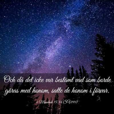 Picture 03 - 4 Mosebok 15:34 SV1917 - Och då det icke var bestämt vad som borde - Bible Verse Picture