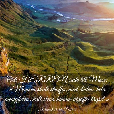 Picture 03 - 4 Mosebok 15:35 SV1917 - Och HERREN sade till Mose: »Mannen skall - Bible Verse Picture