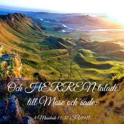 Picture 03 - 4 Mosebok 15:37 SV1917 - Och HERREN talade till Mose och - Bible Verse Picture